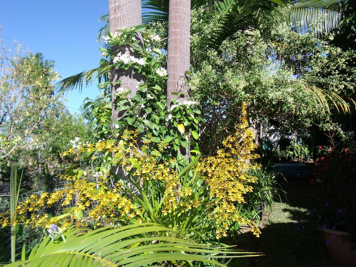 Villa Les Agapanthes Le Tampon Exterior foto