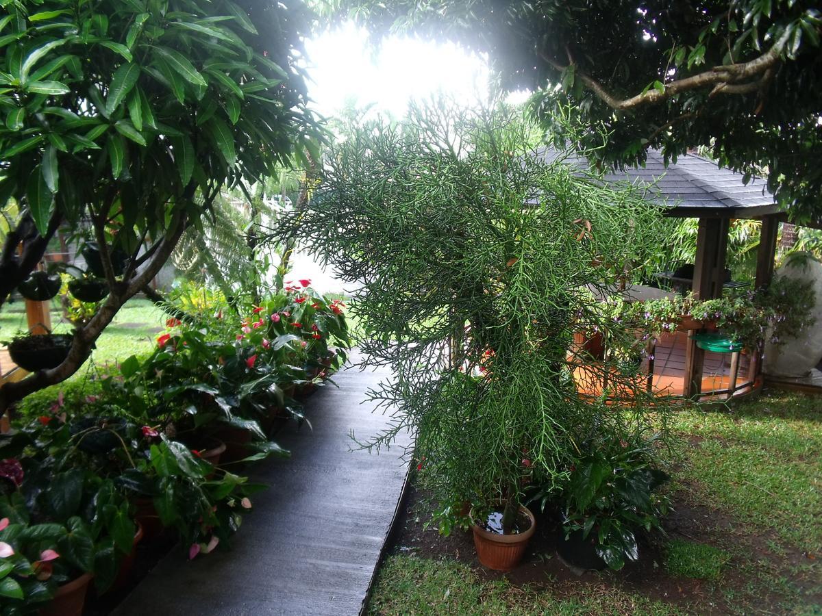 Villa Les Agapanthes Le Tampon Exterior foto